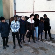 Equitation-MECS-St-Exupery-d-Asnieres-groupe